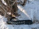Bild 'Powder' gross sehen!