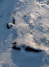 Bild 'verschneit' gross sehen!