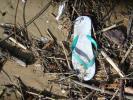 Bild 'nach dem Sturm' gross sehen!