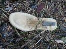 Bild 'beige' gross sehen!