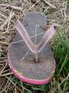 Bild 'Flippi Rosa' gross sehen!