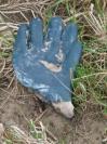 Bild 'Petrolo' gross sehen!