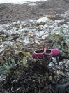 Bild 'Esby Strand' gross sehen!