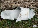 Bild 'Mat-Turkey' gross sehen!