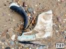 Bild 'Dekonzentrieren' gross sehen!