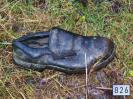 Bild 'Knautschleder' gross sehen!