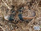 Bild 'Tropfen' gross sehen!