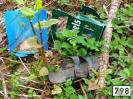 Bild 'Diebels' gross sehen!