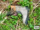 Bild 'Malefizkerl' gross sehen!