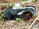 Bild 'Reebock' gross sehen!