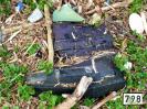 Bild 'Schlafboots' gross sehen!