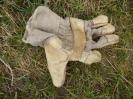 Bild 'beige' gross sehen!