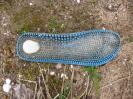 Bild 'blau genoppt' gross sehen!